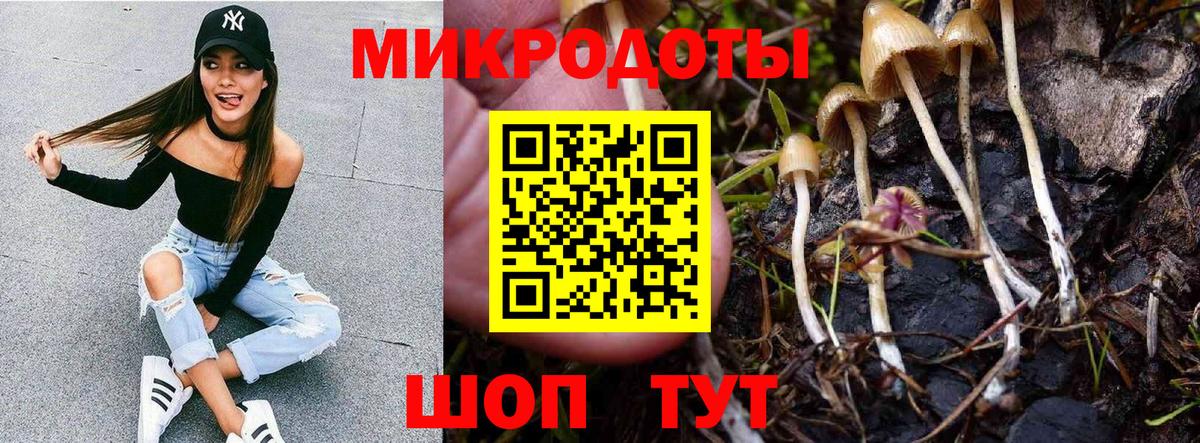 Псилоцибиновые грибы GOLDEN TEACHER Карасук