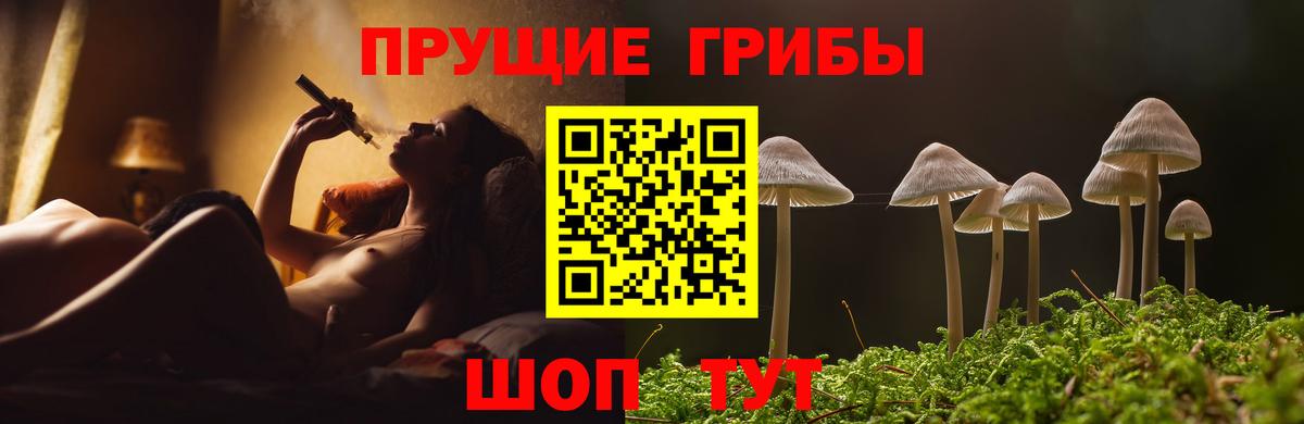 как найти наркотики  Псилоцибиновые грибы Cubensis  Вход с VPN  Карасук 