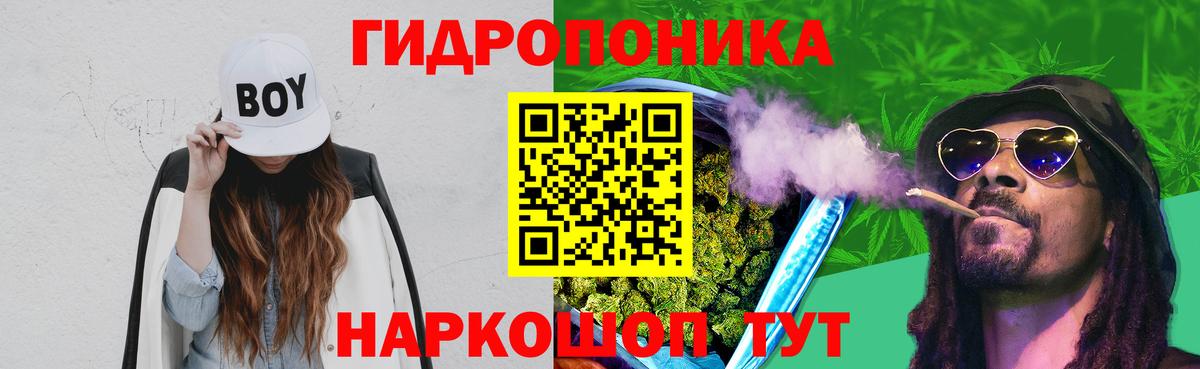 Марихуана марихуана  Канабис планчик  Карасук  Шишки марихуана план  Вход с VPN 